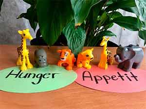 Spielzeugtiere, die an die Wörter Hunger und Appetit gestellt sind